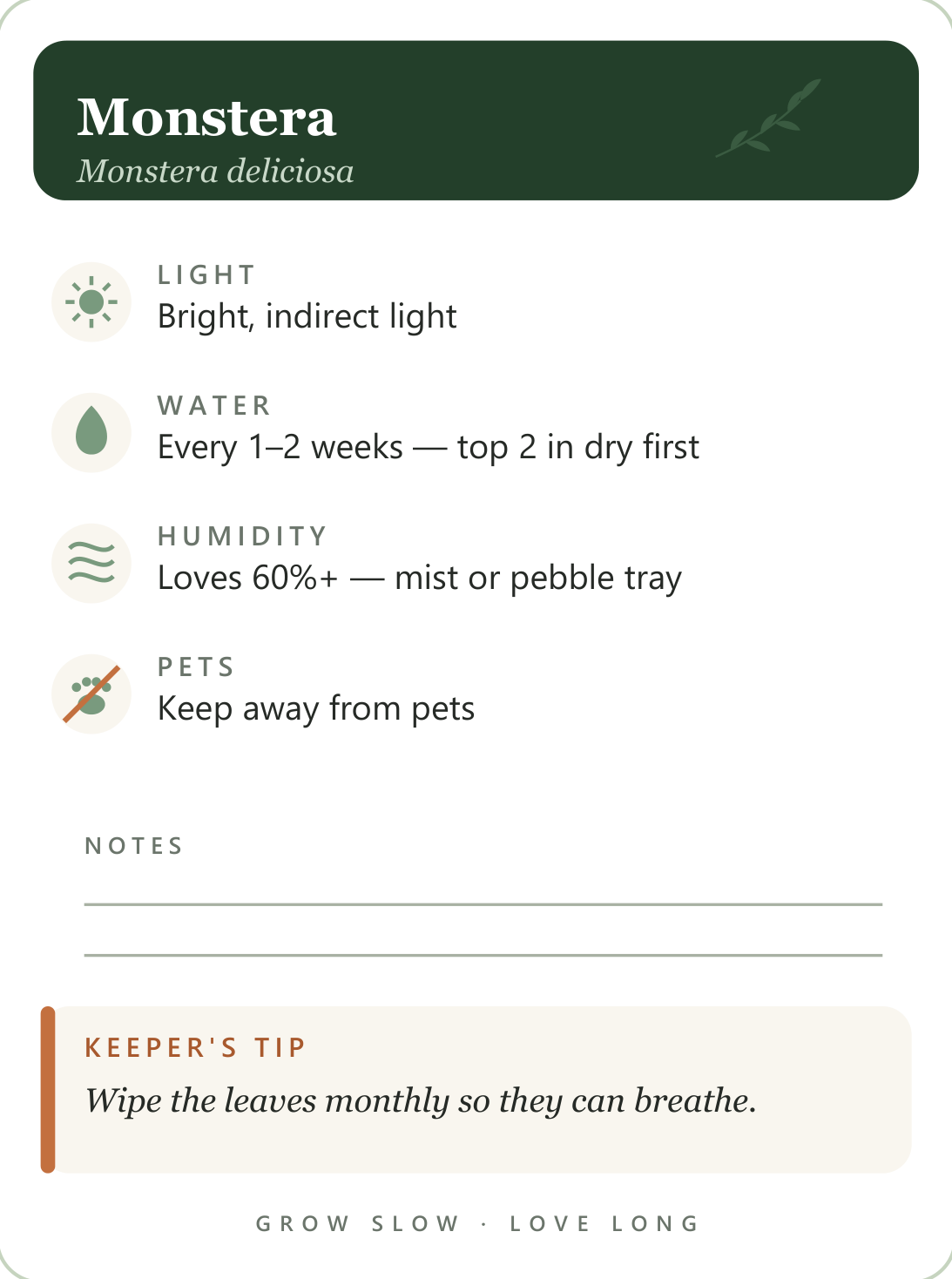 Monstera plant care card