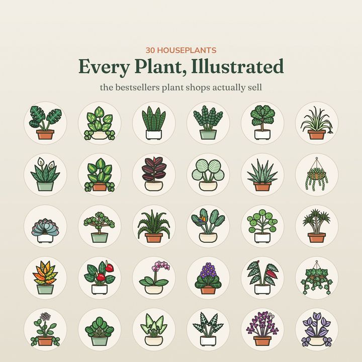 A page from inside Plant Care Cards