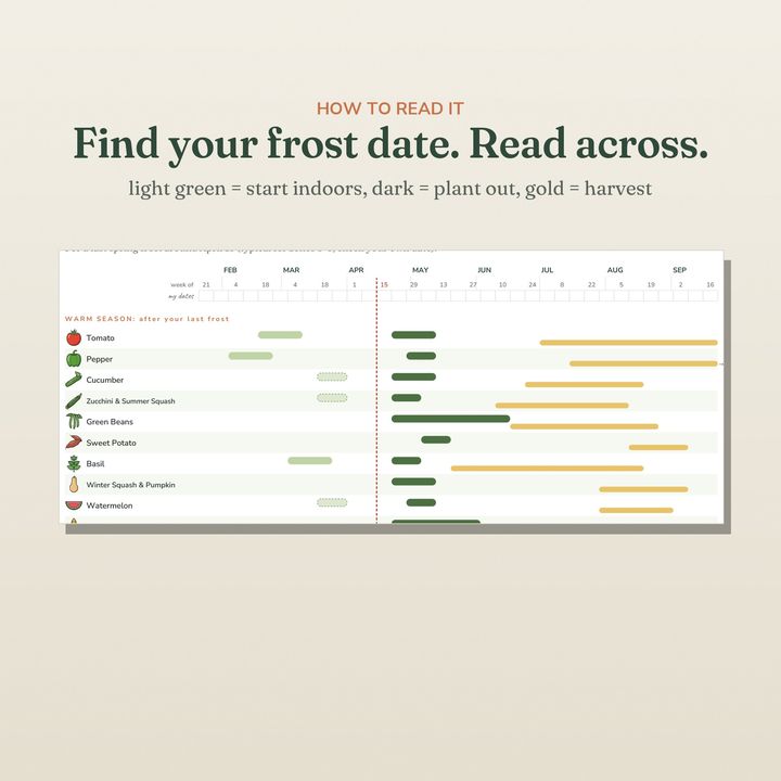 A page from inside Vegetable Planting Chart