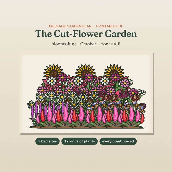 The Cut-Flower Garden plan with an illustrated bed of bright flowers