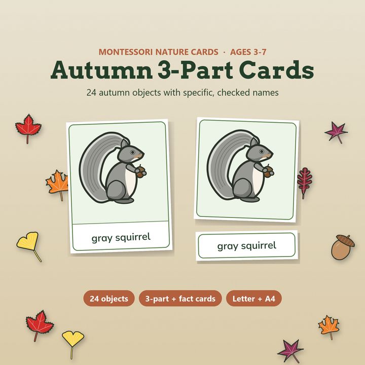 Montessori autumn 3-part cards with a gray squirrel