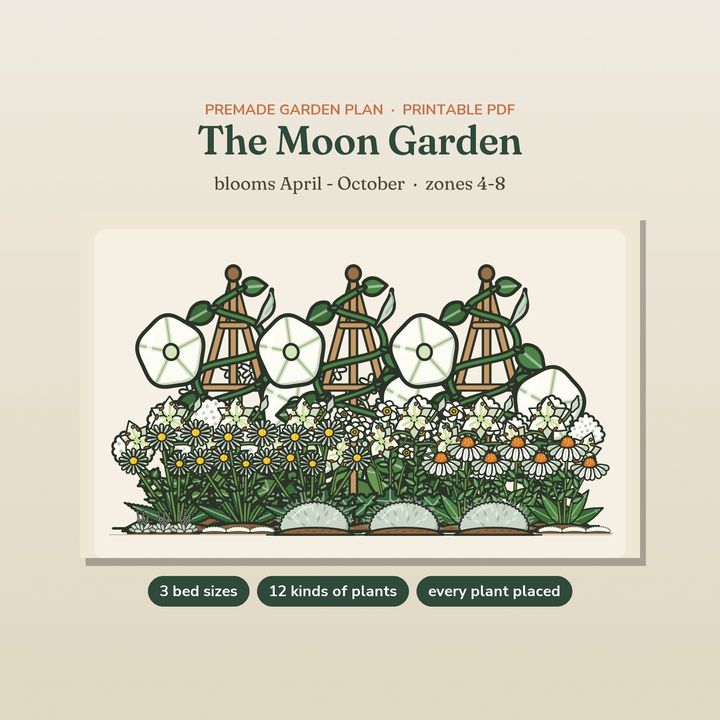 The Moon Garden plan with white flowers illustrated on a cream page