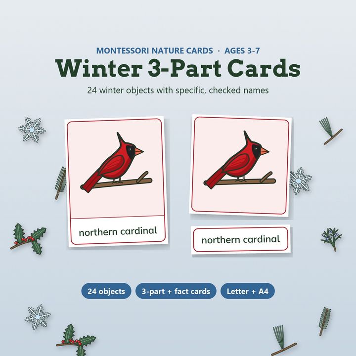 Montessori winter 3-part cards with a northern cardinal