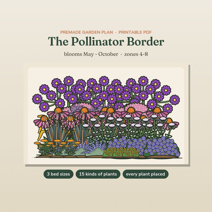 The Pollinator Border, a premade garden plan with an illustrated flower bed