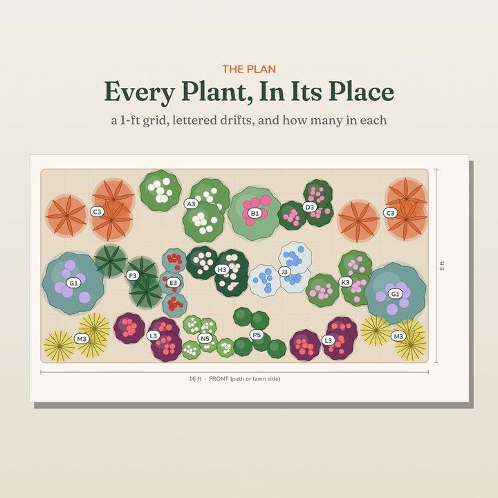 A page from inside The Shade Border
