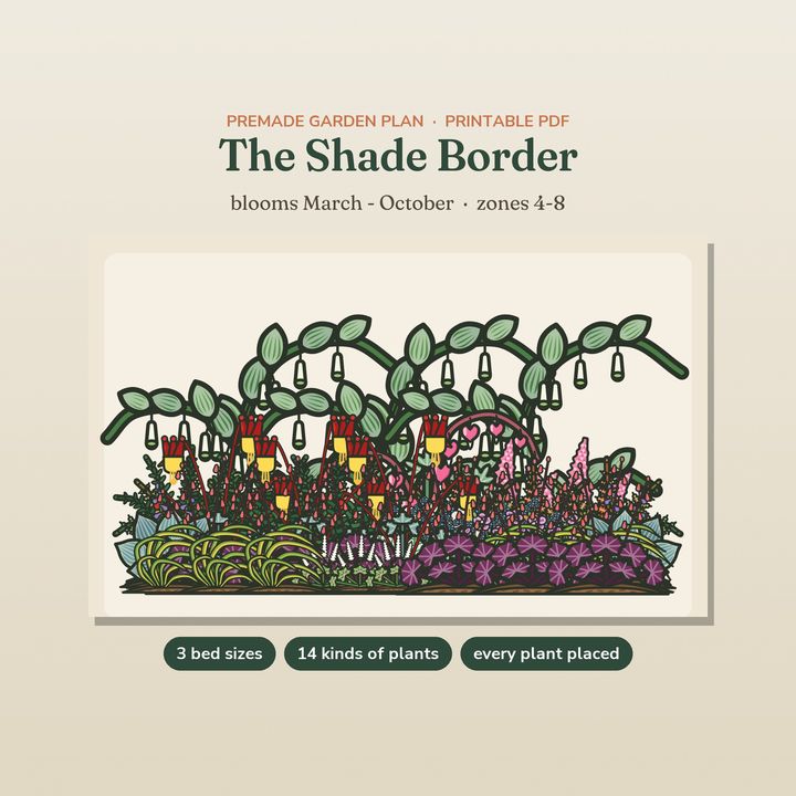 The Shade Border garden plan with ferns, hostas and bleeding heart
