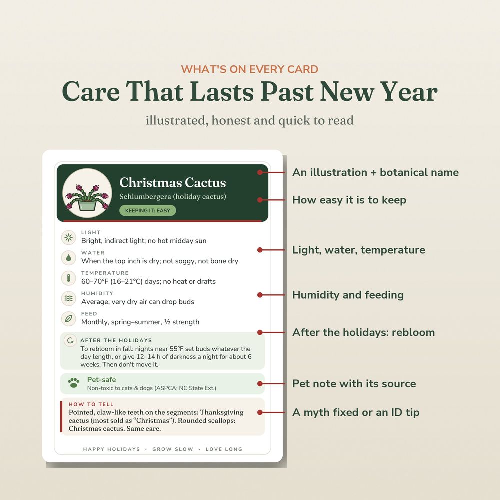 The anatomy of a Sagestead holiday plant care card: light, water, temperature, humidity, feeding, after-the-holidays and pet safety notes