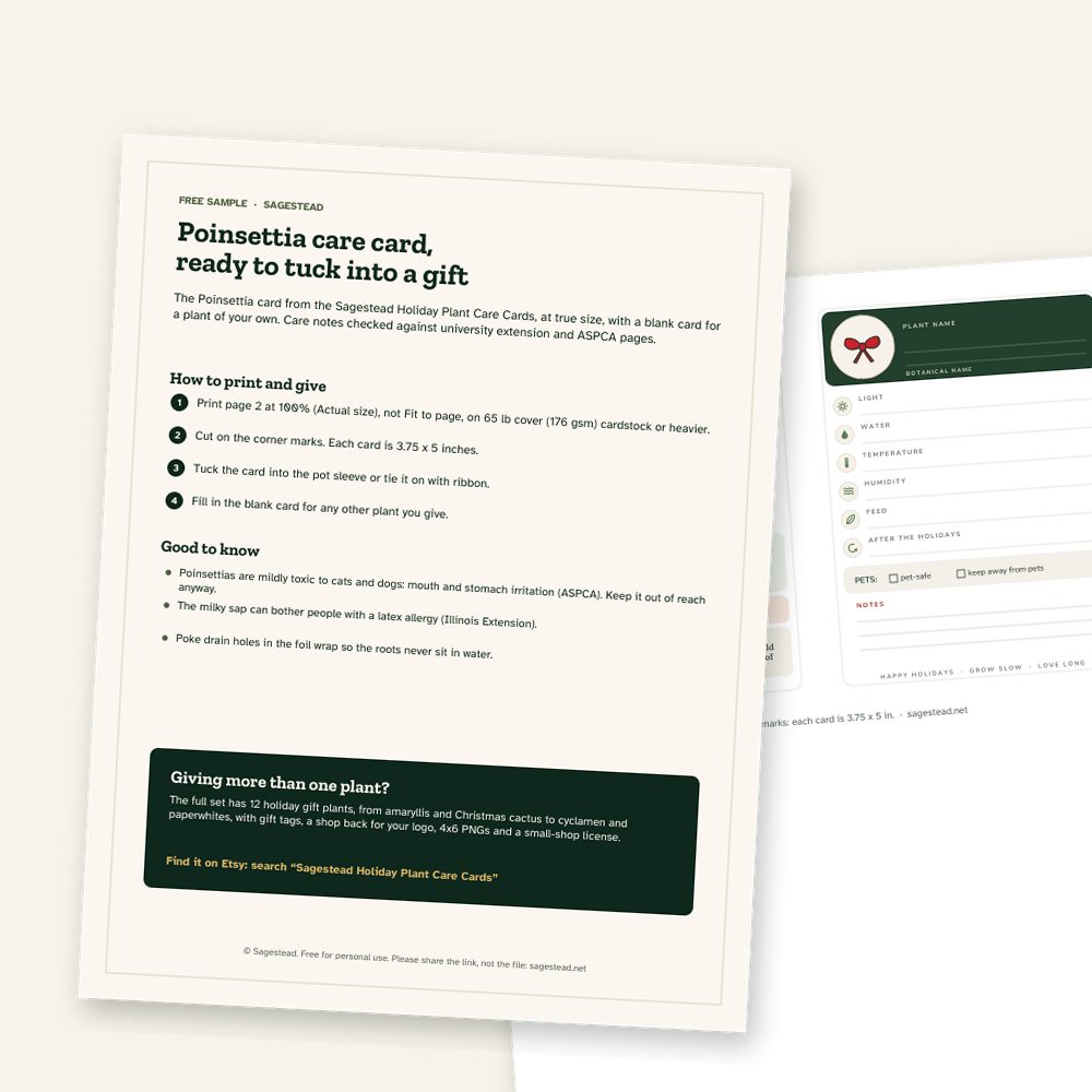 The free poinsettia care card sample: a how-to page and the poinsettia card beside a blank card