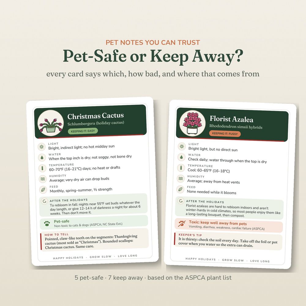 Pet safety notes for 12 holiday plants from Sagestead care cards, based on the ASPCA plant list