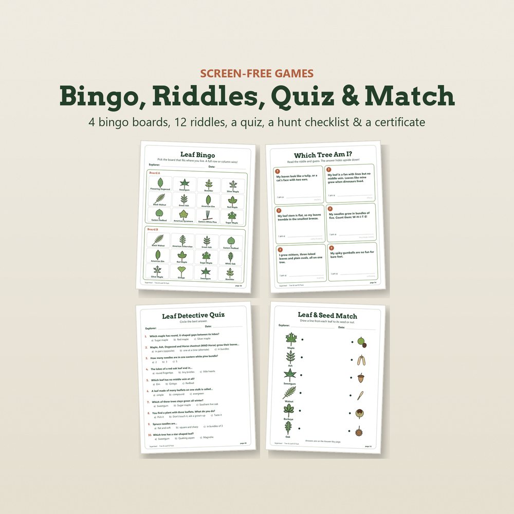 Screen-free tree games from the Sagestead pack: leaf bingo, Which Tree Am I riddles, a leaf detective quiz and a leaf and seed match